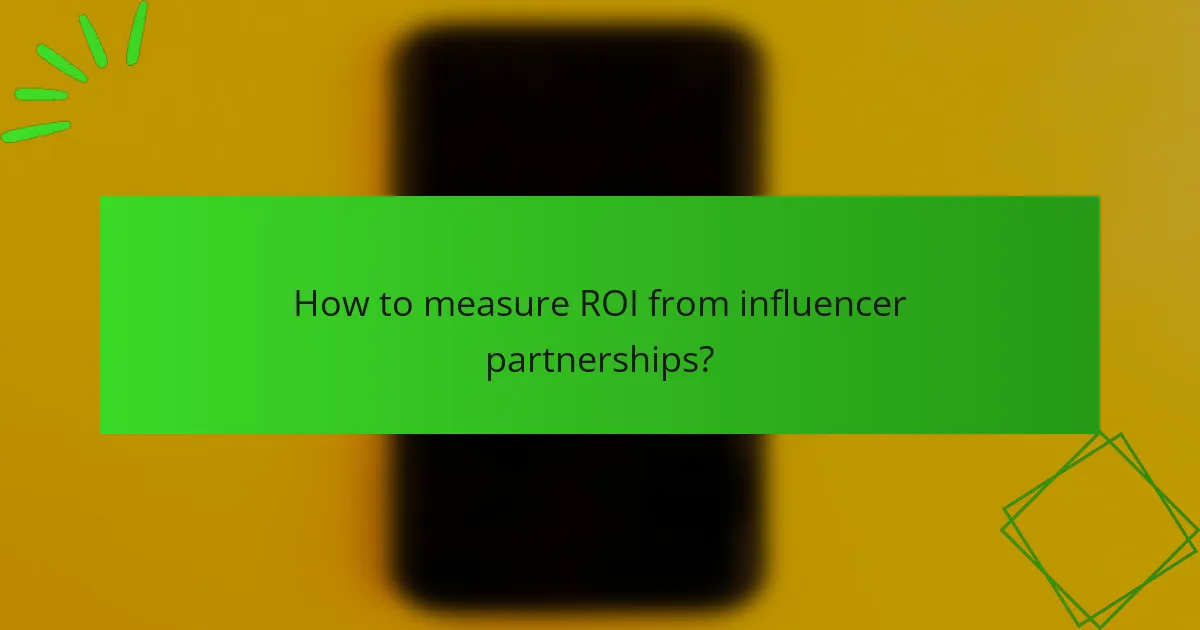 How to measure ROI from influencer partnerships?